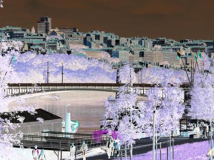 Berges Lyonnaises Berges Lyonnaises