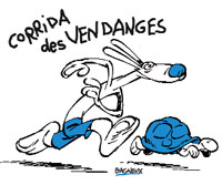 Corrida des Vendanges 2008 Corrida des Vendanges 2008