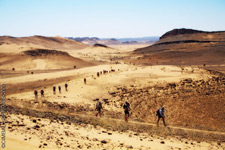 25ème SULTAN MARATHON DES SABLES