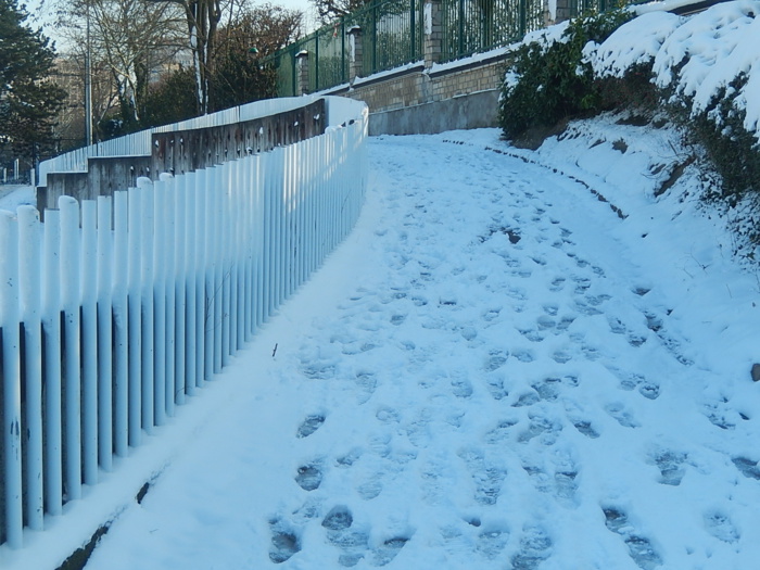 44es Foulées de Malakoff annulées 44es Foulées de Malakoff annulées