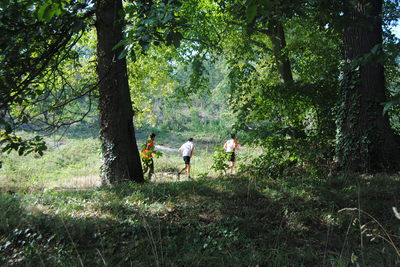 TRAIL DE VIROFLAY TRAIL DE VIROFLAY