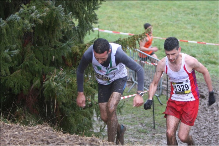 Chpts régionaux de cross country