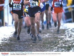 CHAMPIONNAT du 92 de CROSS & CALENDRIER CROSS