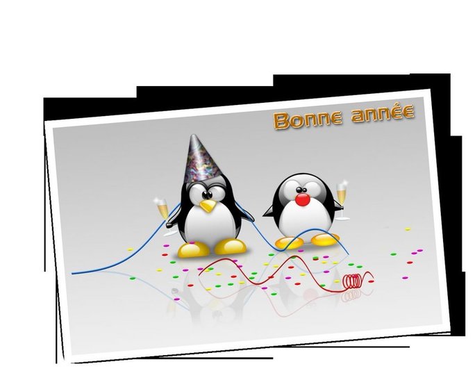 BONNE ANNEE 2008