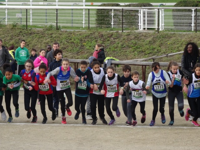 Cross du Stade Français