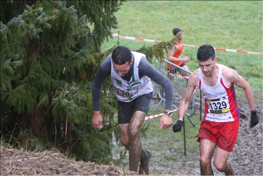 Chpts régionaux de cross country