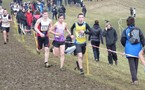 Chpts Ile-de-France de cross country