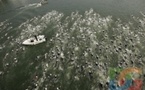 Pendant ce temps là... se déroulait le Triathlon de Paris