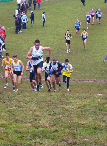 cross court H Serge en cote cross court H Serge en cote